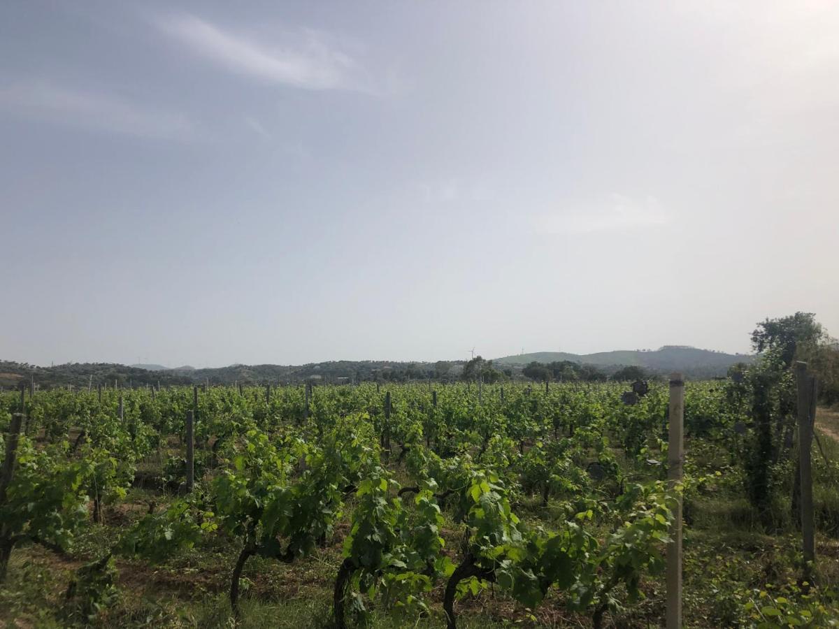 Agriturismo Donna Germana Cirò Marina Exteriér fotografie